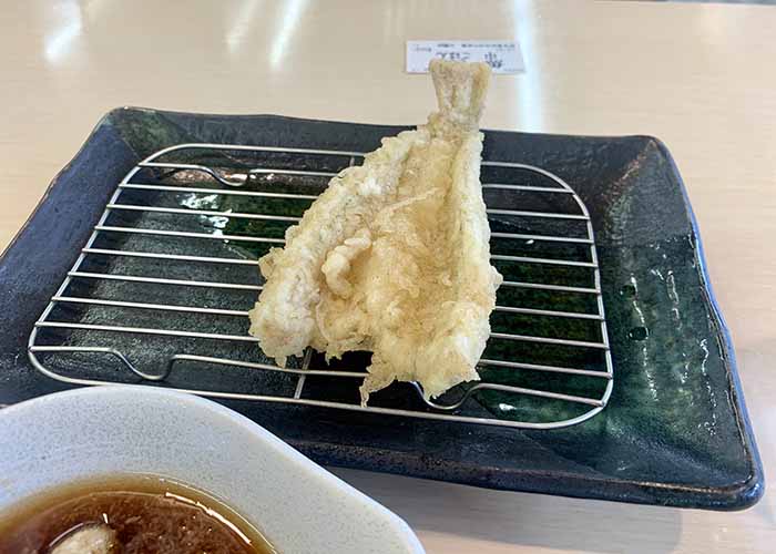 古賀市ランチ　天ぷら定食　だるま